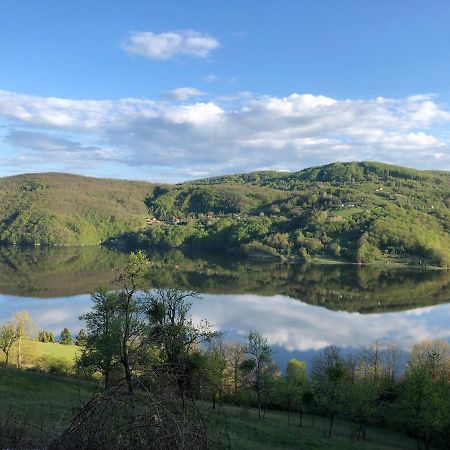Apartman Jezero Vrutci Užice Exteriör bild